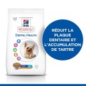 Canine Mature Dental Health Petit Chien