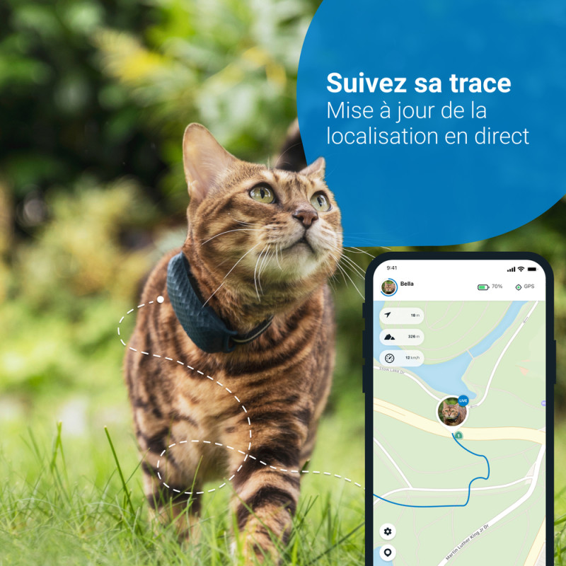 Traceur gps chat