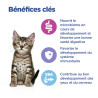Kitten Multi-Benefit Poulet