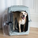 Cage Sky Kennel